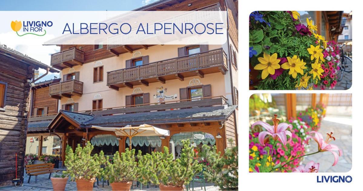 Albergo Alpenrose Λιβίνιο Εξωτερικό φωτογραφία